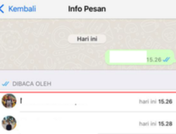 Tips Mengetahui Pesan WhatsApp Telah Dibaca atau Belum