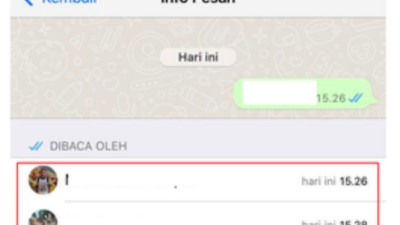 Mengetahui Pesan WhatsApp Telah Dibaca