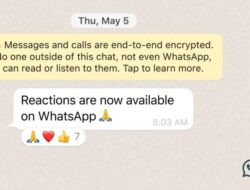 Fitur Reaksi Pesan di Whatsapp Resmi Bisa Digunakan