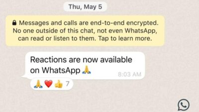 Fitur Reaksi Pesan di Whatsapp Resmi Bisa Digunakan