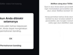 Cara Memperbaiki Peringatan Akun TikTok