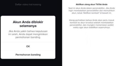 Cara Memperbaiki Peringatan Akun TikTok