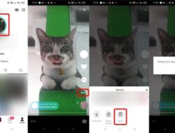 Cara Hapus Story TikTok Dengan Mudah