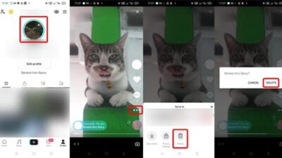 Cara Hapus Story TikTok Gadgettren