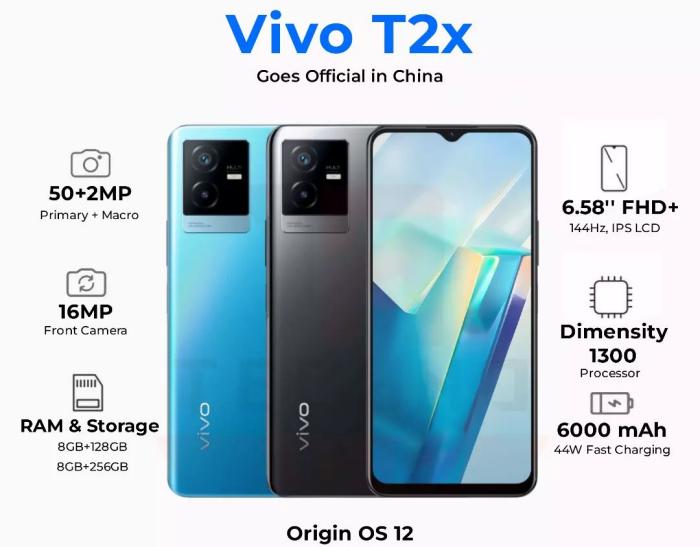 Vivo T2x