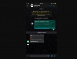 Foto Profil Muncul di Grup WA Jadi Fitur WhatsApp Terbaru