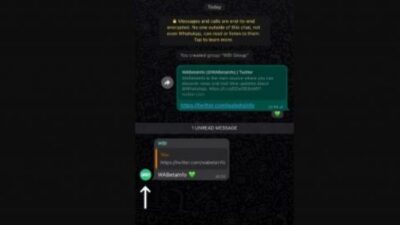 Foto Profil Muncul di Grup WA Jadi Fitur WhatsApp Terbaru