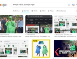 Ketik ‘Monyet Pakai Jas Hujan Hijau’ di Pencarian Google,  Malah Muncul Foto Presiden Jokowi