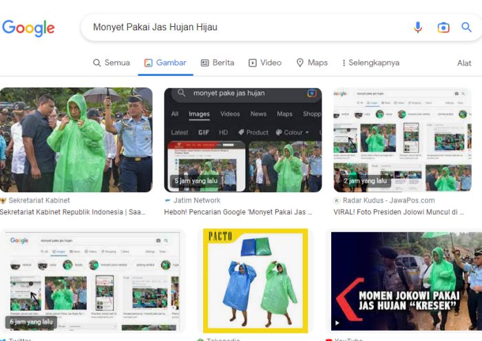 Ketik 'Monyet Pakai Jas Hujan Hijau' Di Pencarian Google, Malah Muncul Foto Presiden Jokowi
