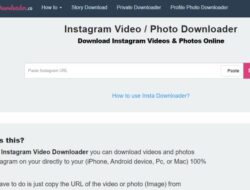 Website Instagram Downloader Paling Rekomended 2023