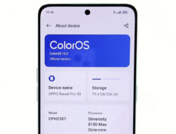 Tutorial Update ColorOS di HP Oppo 2023