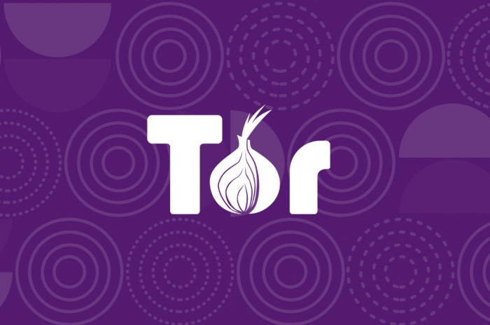 Aplikasi Browser Tercepat Di HP Tor Browser 2023