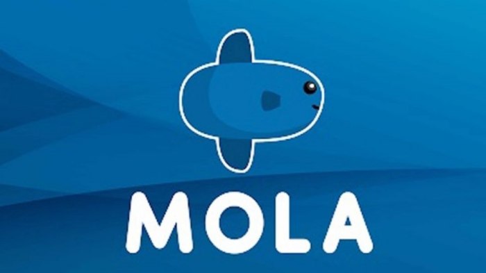 MOLA TV Aplikasi Nonton Televisi Online Di HP