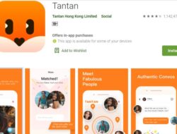 Tantan Aplikasi Kencan yang Menyenangkan dan Populer